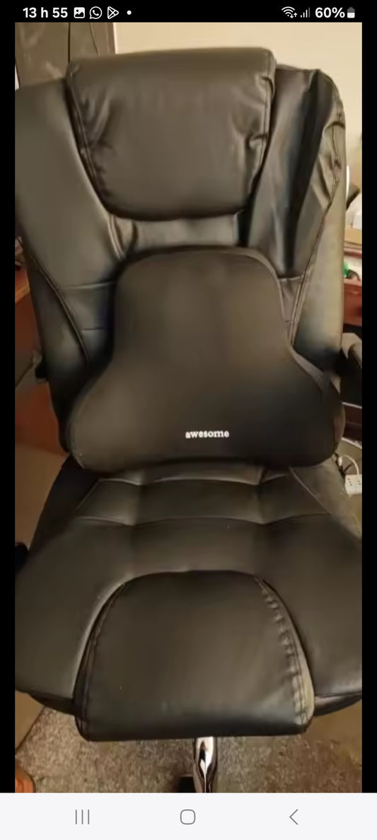 Hall Back Pain Relief Pillow